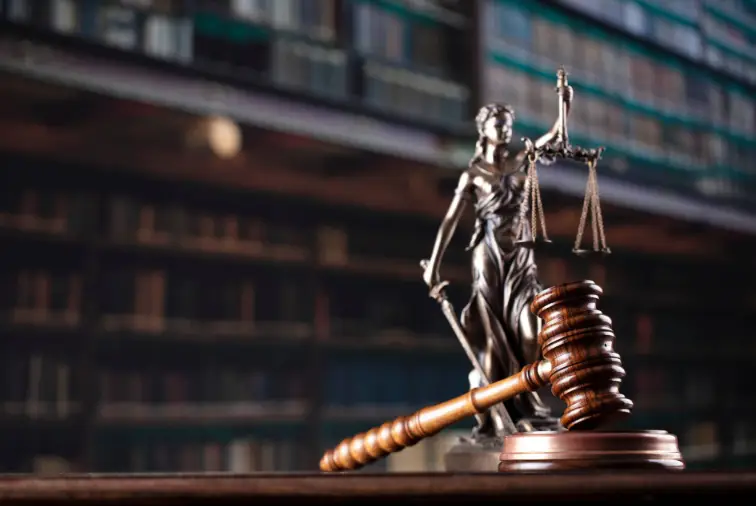 Elder Care Law for Dummies