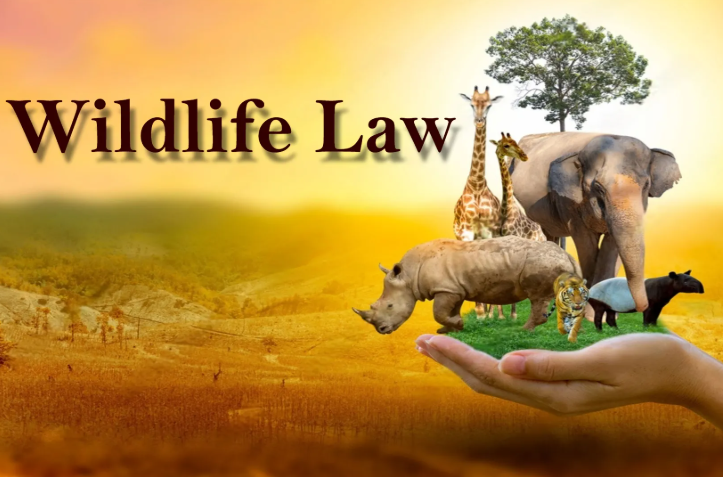 Forestry Wildlife and Fisheries Law of 1994 Ivory Coast