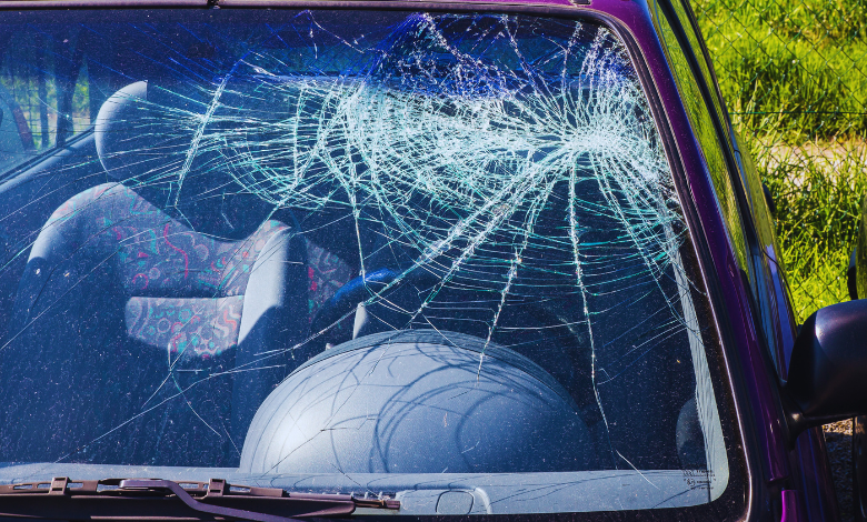 alayna panepinto car accident