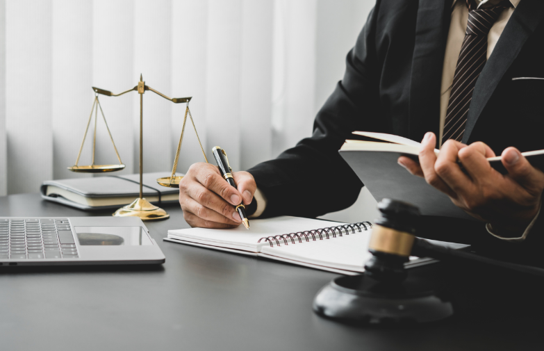 Attorney Vera Bergemann Florida