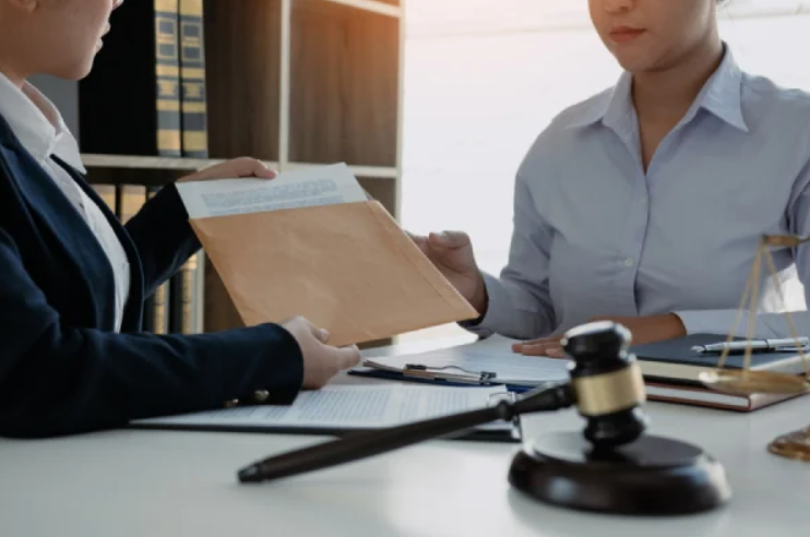 Practice Areas of Clarisse Delaitre Lawyer