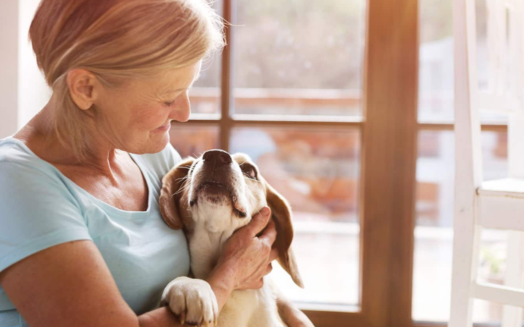 Rossmoor Pet Trust Lawyer