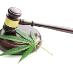 Seattle Cannabis Lawyer