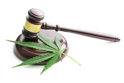 Seattle Cannabis Lawyer