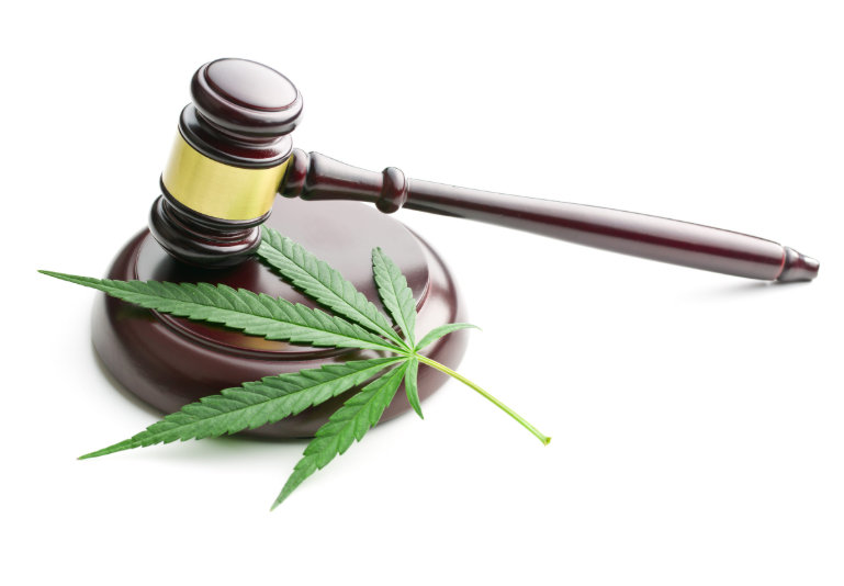 Seattle Cannabis Lawyer