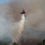 How Wildfire Preparedness Can Safeguard Communities